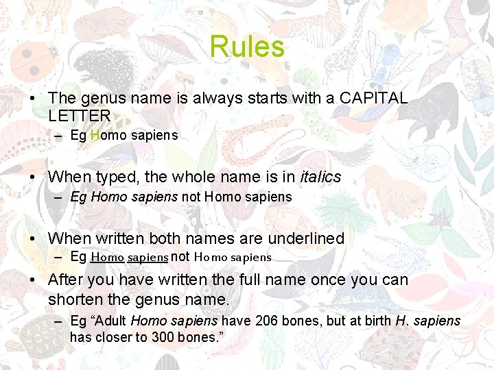 Rules • The genus name is always starts with a CAPITAL LETTER – Eg