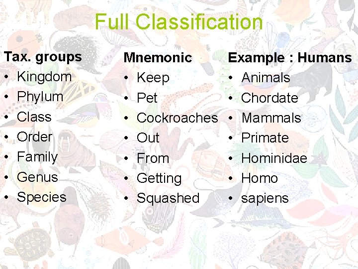 Full Classification Tax. groups • Kingdom • Phylum • Class • Order • Family