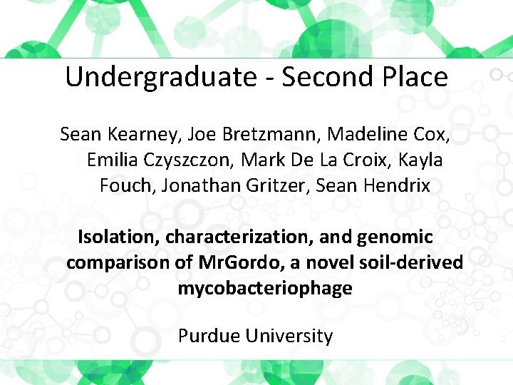 Undergraduate - Second Place Sean Kearney, Joe Bretzmann, Madeline Cox, Emilia Czyszczon, Mark De