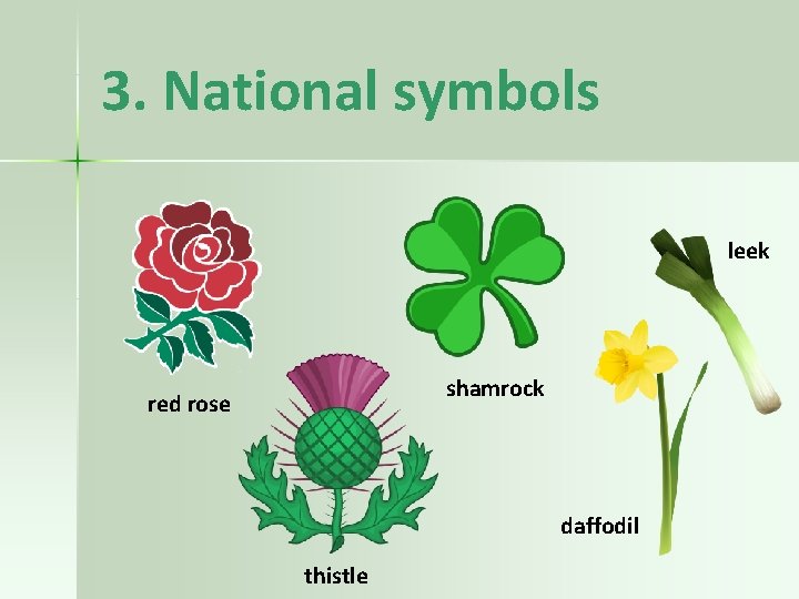 3. National symbols leek shamrock red rose daffodil thistle 