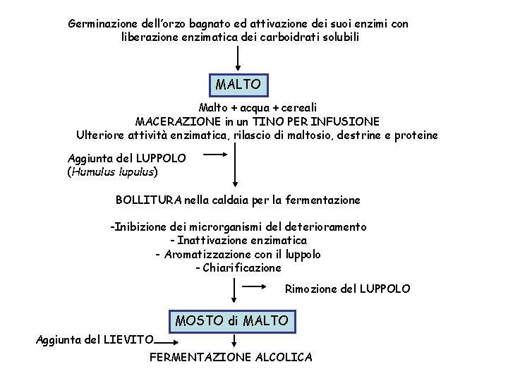 Germinazione dell’orzo bagnato ed attivazione dei suoi enzimi con liberazione enzimatica dei carboidrati solubili