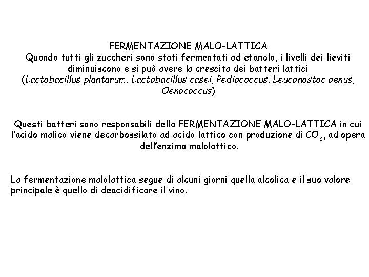 FERMENTAZIONE MALO-LATTICA Quando tutti gli zuccheri sono stati fermentati ad etanolo, i livelli dei