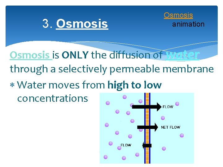 3. Osmosis animation Osmosis is ONLY the diffusion of water through a selectively permeable