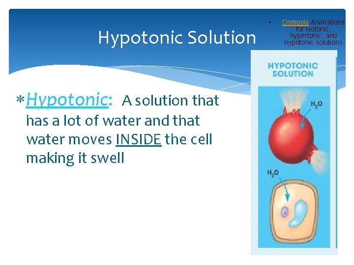 Hypotonic Solution Hypotonic: A solution that has a lot of water and that water