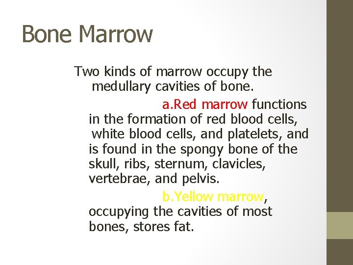 Bone Marrow Two kinds of marrow occupy the medullary cavities of bone. a. Red