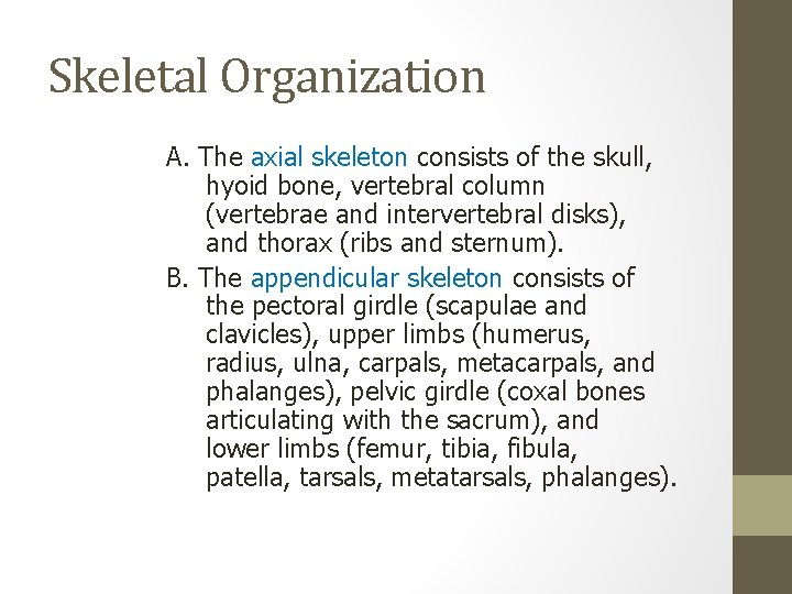 Skeletal Organization A. The axial skeleton consists of the skull, hyoid bone, vertebral column