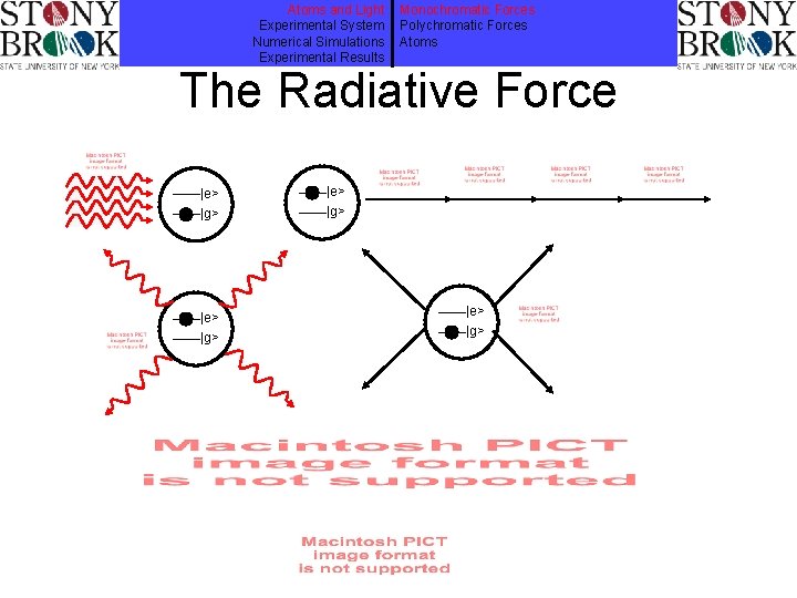 Atoms and Light Experimental System Numerical Simulations Experimental Results Monochromatic Forces Polychromatic Forces Atoms