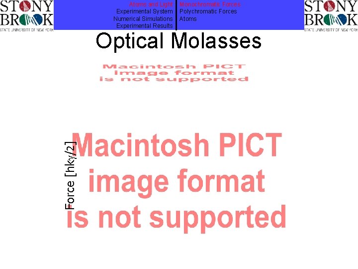 Atoms and Light Experimental System Numerical Simulations Experimental Results Monochromatic Forces Polychromatic Forces Atoms