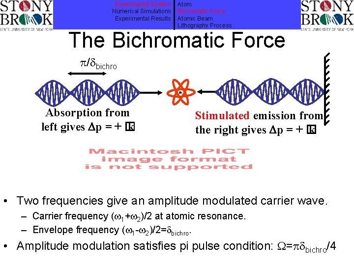 Experimental System Numerical Simulations Experimental Results Atom Bichromatic Force Atomic Beam Lithography Process The