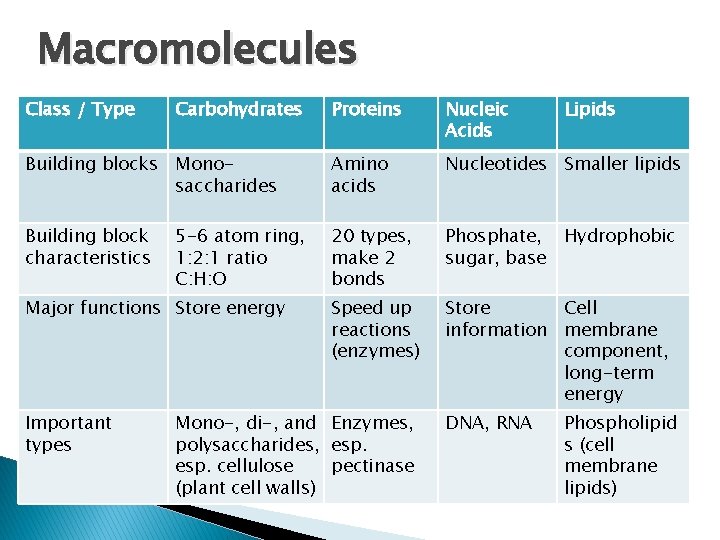 Macromolecules Class / Type Carbohydrates Proteins Nucleic Acids Building blocks Monosaccharides Amino acids Nucleotides