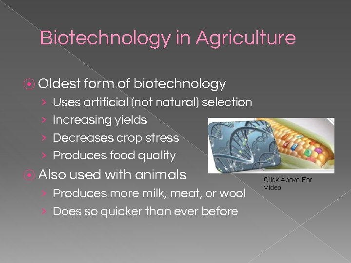 Biotechnology in Agriculture ⦿ Oldest form of biotechnology › › Uses artificial (not natural)