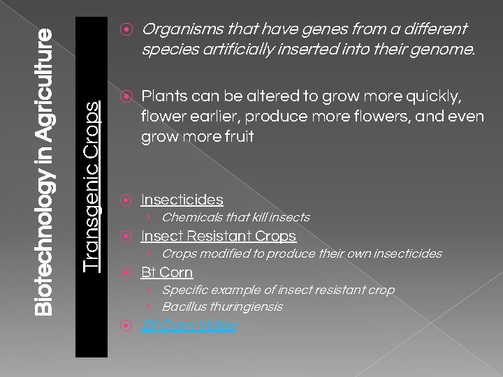 Transgenic Crops Biotechnology in Agriculture ⦿ Organisms that have genes from a different species