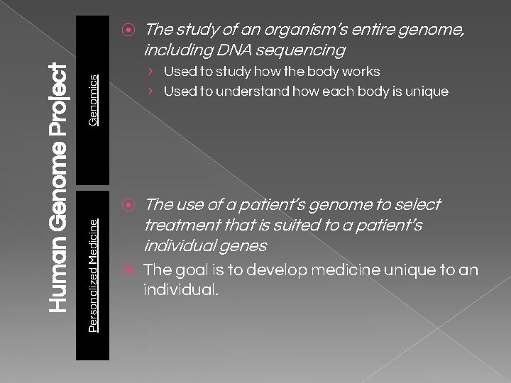 The study of an organism’s entire genome, including DNA sequencing › Used to study