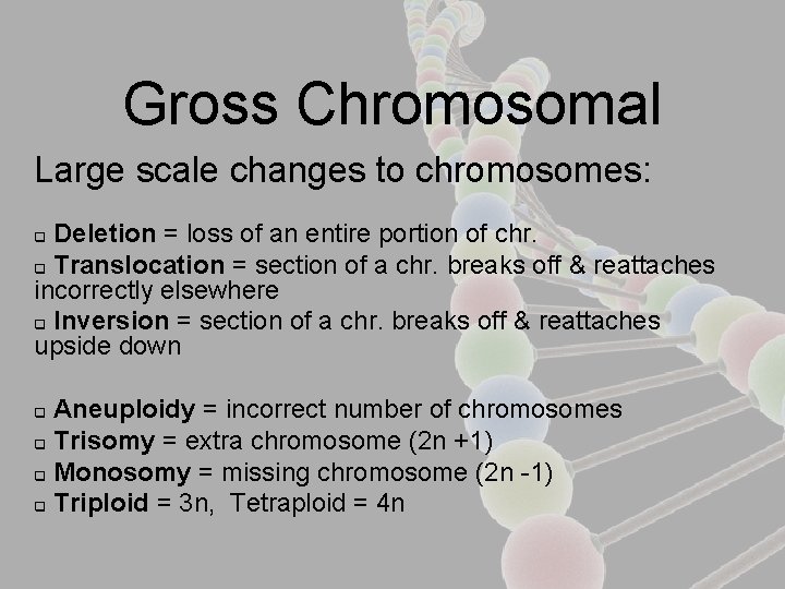 Gross Chromosomal Large scale changes to chromosomes: Deletion = loss of an entire portion