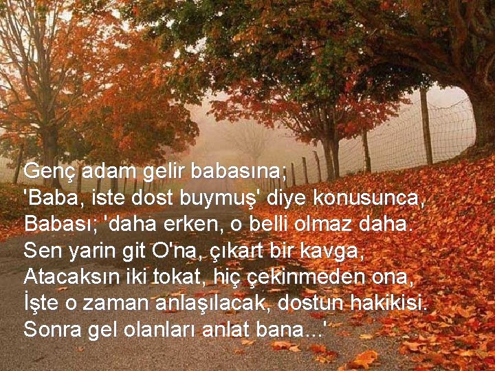 Genç adam gelir babasına; 'Baba, iste dost buymuş' diye konusunca, Babası; 'daha erken, o