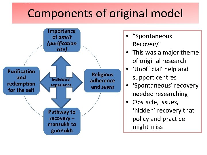 Components of original model Importance of amrit (purification rite) Purification and redemption for the