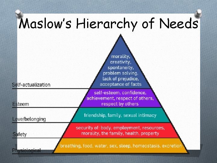 Maslow’s Hierarchy of Needs  Maslow’s Hierarchy of Needs
