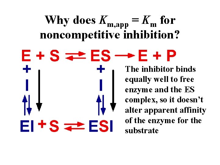 Why does Km, app = Km for noncompetitive inhibition? The inhibitor binds equally well