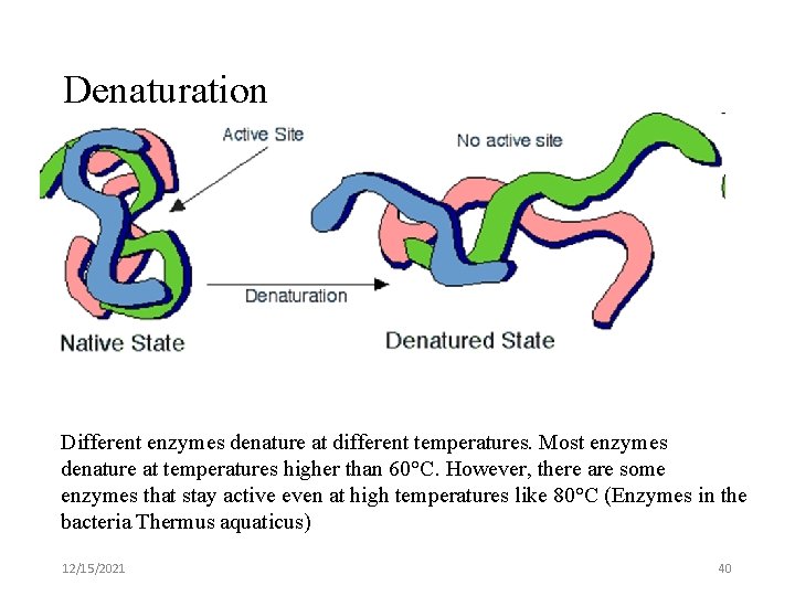 Denaturation Different enzymes denature at different temperatures. Most enzymes denature at temperatures higher than