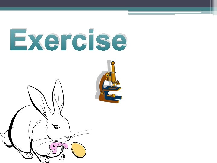 Exercise 