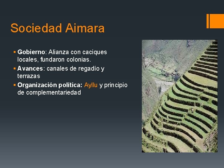 Sociedad Aimara § Gobierno: Alianza con caciques locales, fundaron colonias. § Avances: canales de