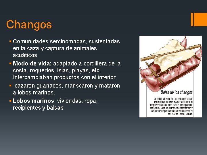 Changos § Comunidades seminómadas, sustentadas en la caza y captura de animales acuáticos. §