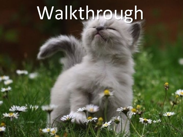 Walkthrough 