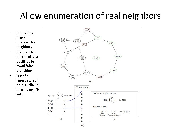 Allow enumeration of real neighbors • • • Bloom filter allows querying for neighbors