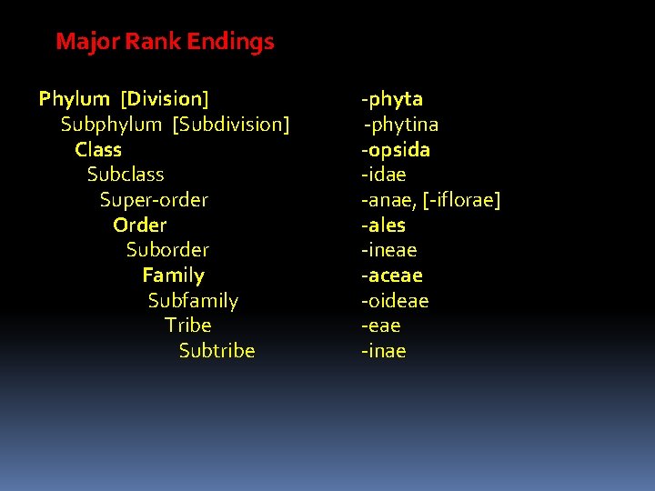 Major Rank Endings Phylum [Division] Subphylum [Subdivision] Class Subclass Super-order Order Suborder Family Subfamily