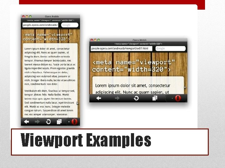 Viewport Examples 