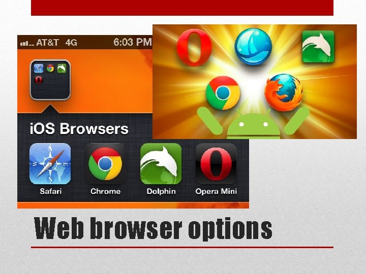 Web browser options 