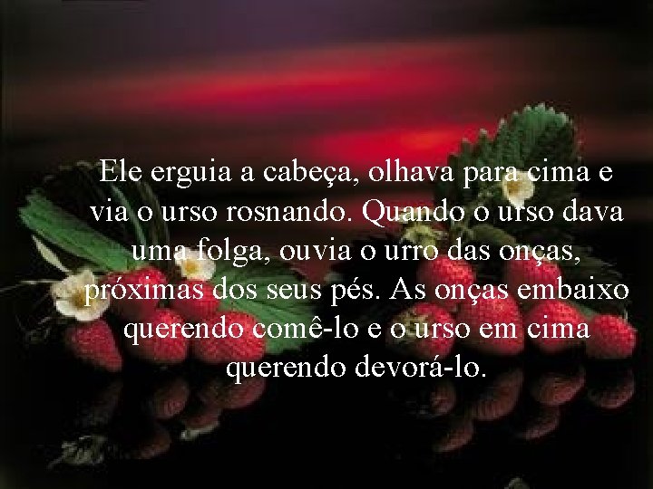 Ele erguia a cabeça, olhava para cima e via o urso rosnando. Quando o