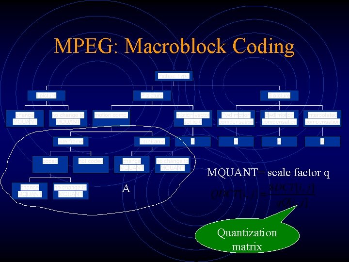 MPEG: Macroblock Coding MQUANT= scale factor q A Quantization matrix MPEG: Macroblock Coding MQUANT= scale factor q A Quantization matrix