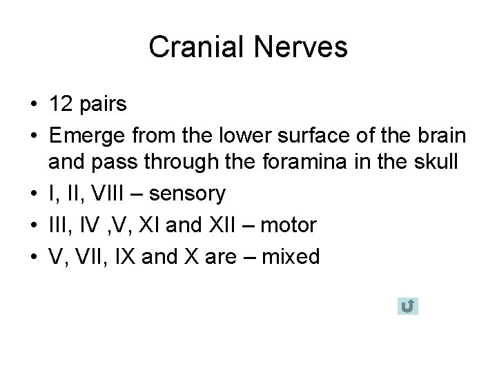 Cranial Nerves • 12 pairs • Emerge from the lower surface of the brain