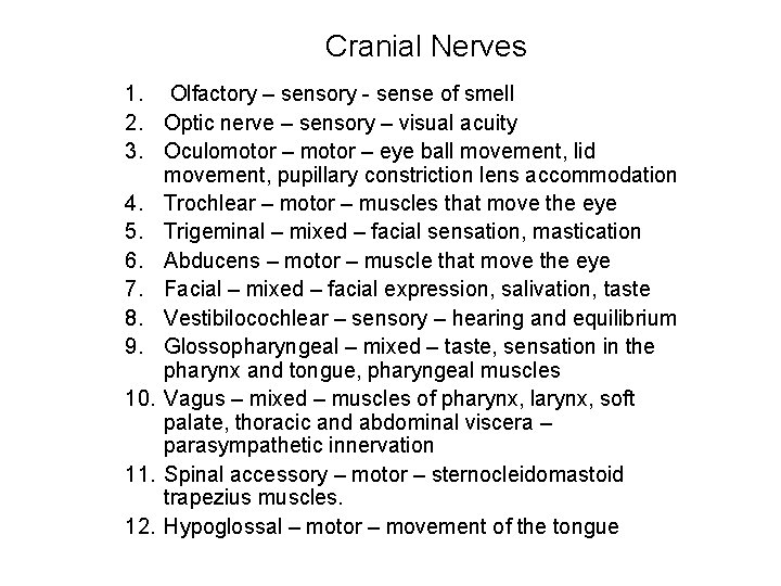 Cranial Nerves 1. Olfactory – sensory - sense of smell 2. Optic nerve –