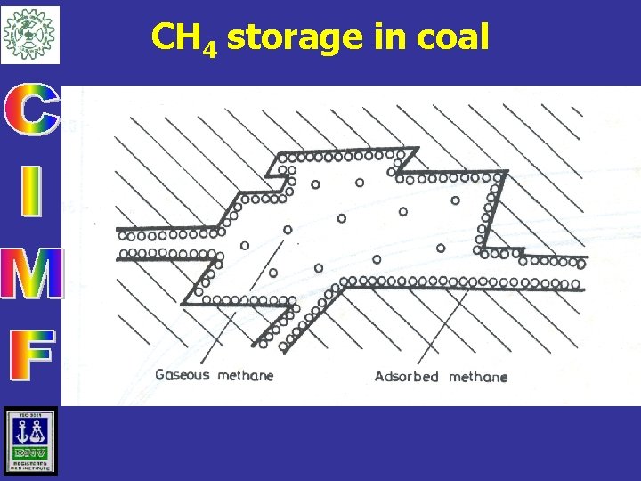 CH 4 storage in coal 