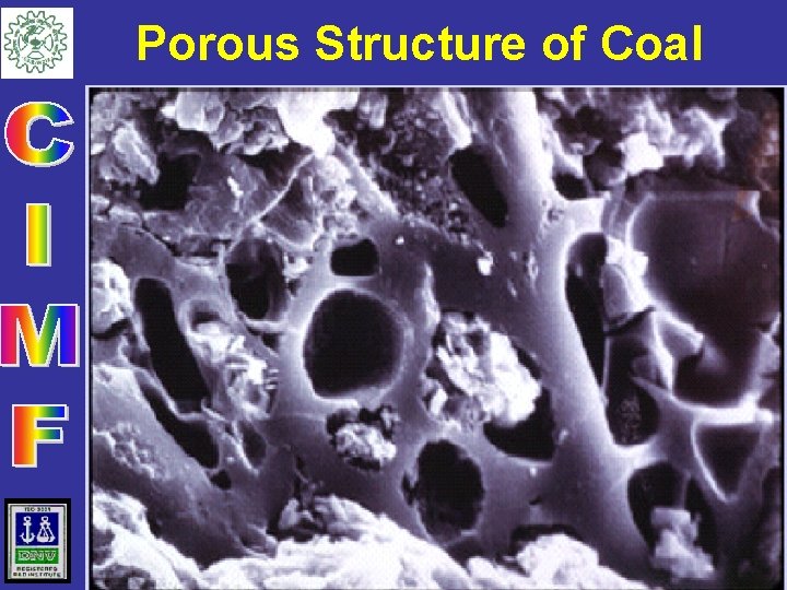 Porous Structure of Coal 