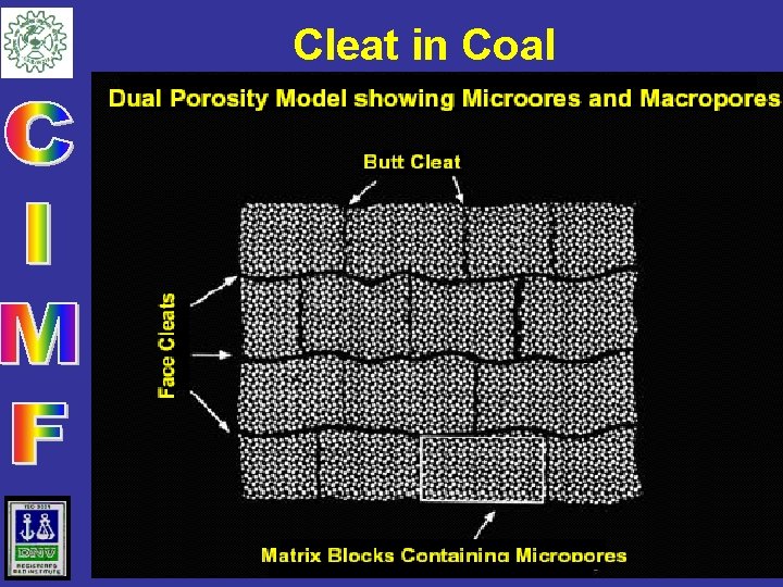 Cleat in Coal 