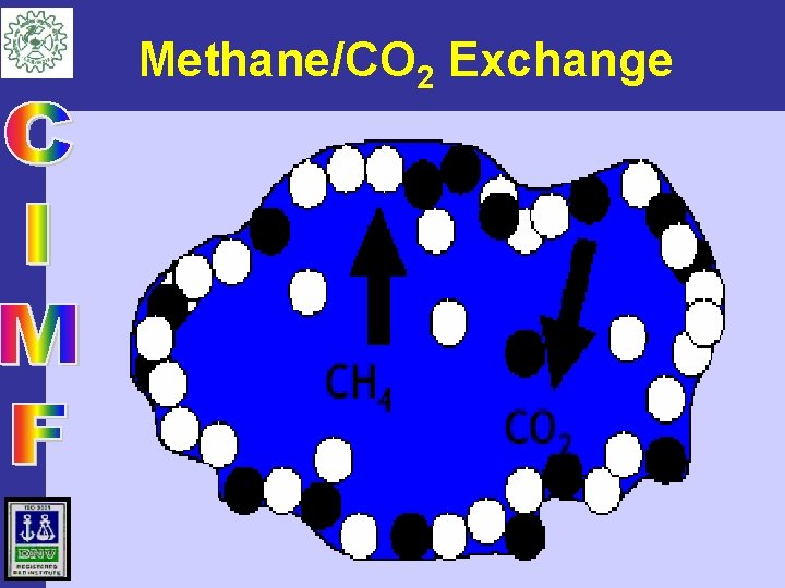 Methane/CO 2 Exchange 