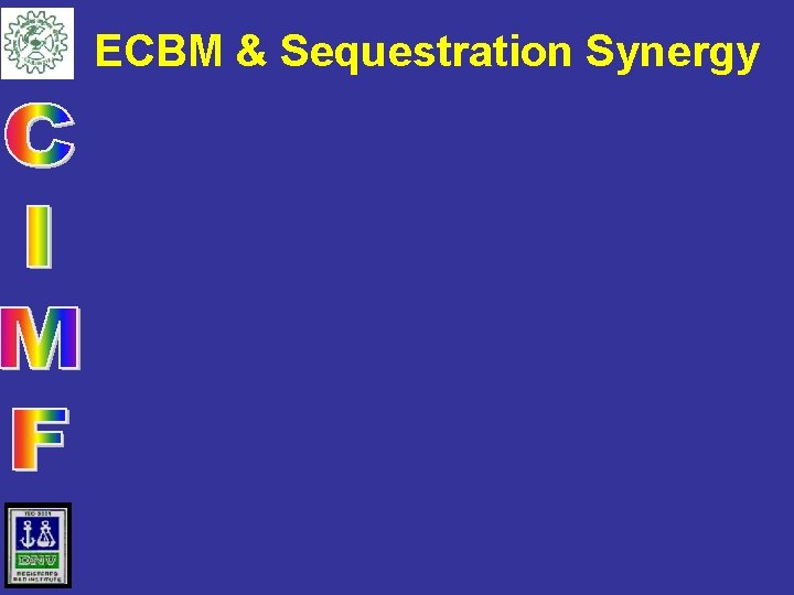 ECBM & Sequestration Synergy 