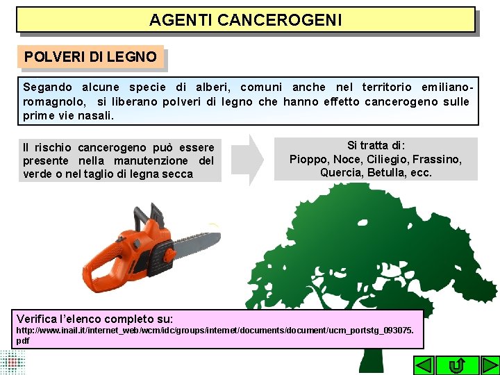 AGENTI CANCEROGENI POLVERI DI LEGNO Segando alcune specie di alberi, comuni anche nel territorio