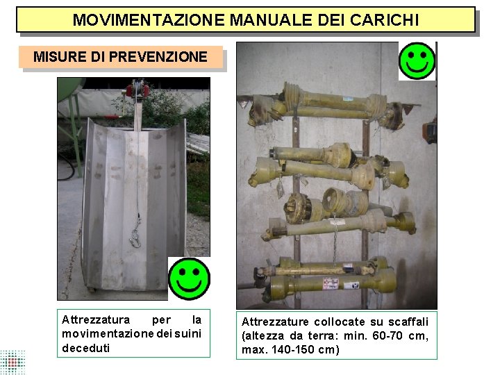 MOVIMENTAZIONE MANUALE DEI CARICHI MISURE DI PREVENZIONE Attrezzatura per la movimentazione dei suini deceduti