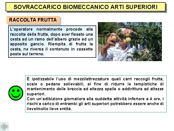 SOVRACCARICO BIOMECCANICO ARTI SUPERIORI RACCOLTA FRUTTA L’operatore normalmente procede alla raccolta della frutta, dopo