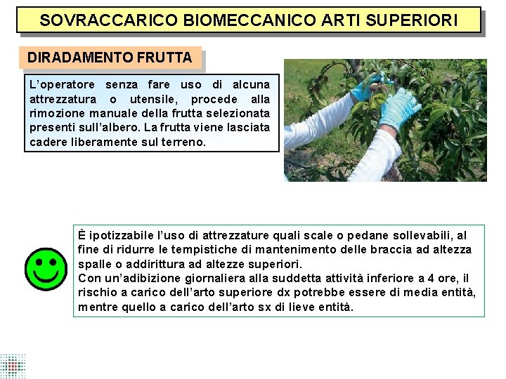 SOVRACCARICO BIOMECCANICO ARTI SUPERIORI DIRADAMENTO FRUTTA L’operatore senza fare uso di alcuna attrezzatura o