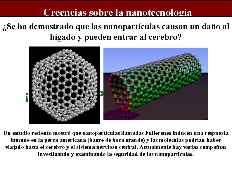 Creencias sobre la nanotecnología ¿Se ha demostrado que las nanopartículas causan un daño al