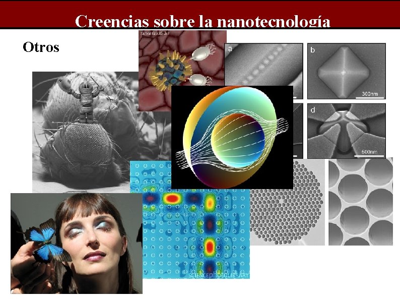 Creencias sobre la nanotecnología Otros 