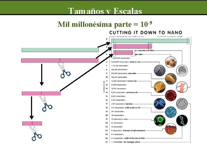 Tamaños y Escalas Mil millonésima parte = 10 -9 