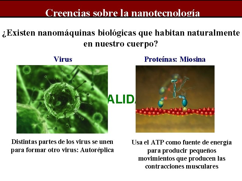 Creencias sobre la nanotecnología ¿Existen nanomáquinas biológicas que habitan naturalmente en nuestro cuerpo? Virus
