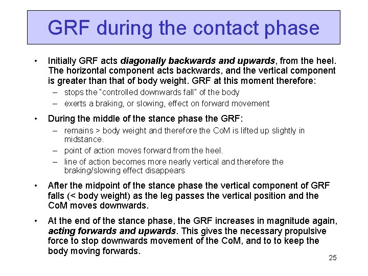 GRF during the contact phase • Initially GRF acts diagonally backwards and upwards, from