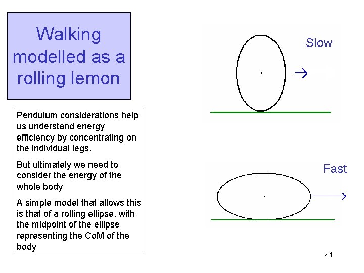 Walking modelled as a rolling lemon Slow Pendulum considerations help us understand energy efficiency